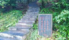 母爱，无尽源泉_650字