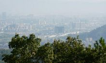 追求卓越_1000字