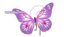 [2013暑期征文]读《蝴蝶的颜色》有感_800字