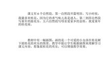 《桂花雨》读后感