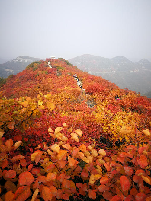 长寿山
