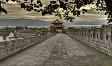 我看见中国文学的苏醒_500字