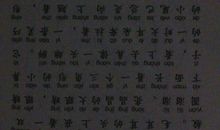 深夜“作战”_600字