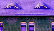 初三日记：紫色情结_650字