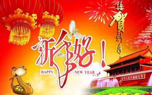 触摸我的歌_600字
