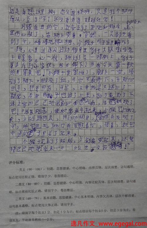 关于爸爸的作文：认识父亲_800字
