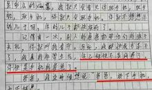 关于爸爸的作文：爸爸的话_700字