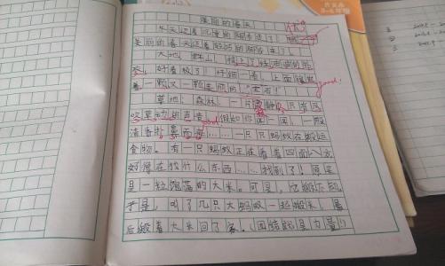 期刊：关于考试的思考_750字