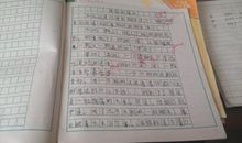 初三日记：期中考试反思_750字