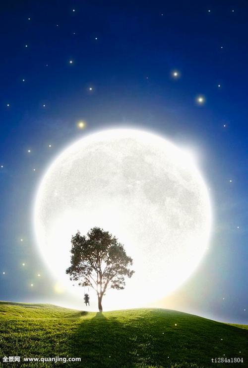 在月球上写一支小型医用笔