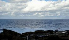 大海、河流和小溪_400字