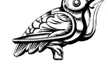 啄木鸟与人_800字