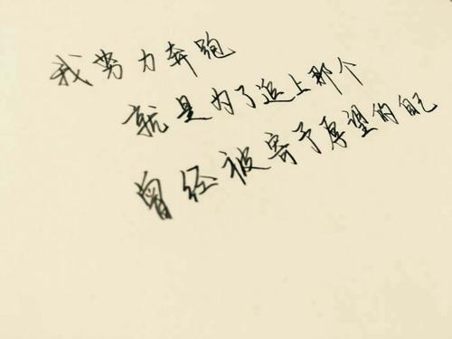 我用我的努力写下我的生活_800字