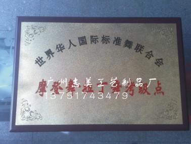 奖章后面_500字