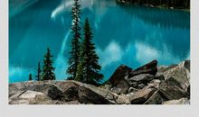 今年春天，我很努力_750字