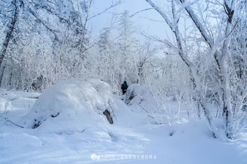 [我的麻烦]怀旧，不是雪_1500字