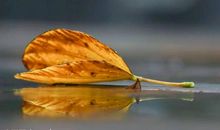 假如我是一片海_550字