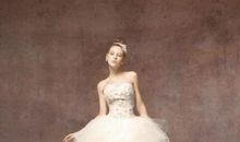 优雅般的美丽_650字