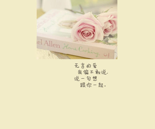 沉默的爱_800字