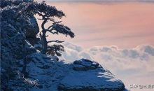 成功的泪水_450字