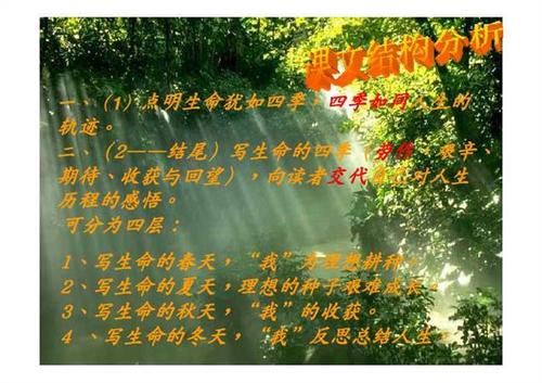 我的四季_650字