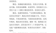 梅花 中国 状物作文_550字