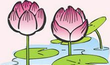 热爱生命的写作素材