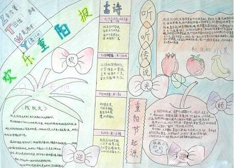 快乐的yang news_20字