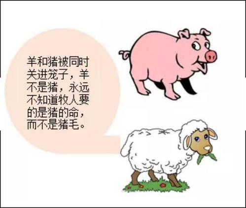 六年级的印象：我是堕落的舞蹈_600字