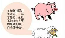 六年级想象作文：我是一片会舞蹈的落叶_600字