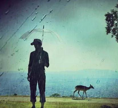 初中读书：生活就像雨，请原谅措施_600字