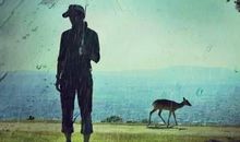 初二读书笔记：生活如雨，请撑伞原谅_600字