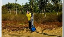 我和春天有约会_300字