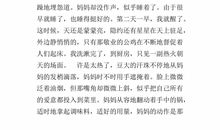 回忆很美好_500字