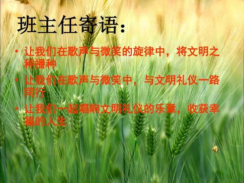 阳光校园，我们的好伙伴_900字