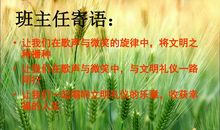 阳光校园，我们的好伙伴_900字