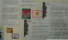重阳节手抄报（6）_20字