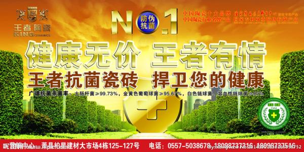 健康和无价_500字