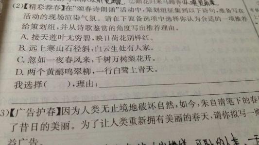 高毅描述：手的自我评论_900字