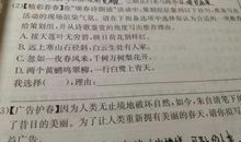 高一说明文：手的自述_900字