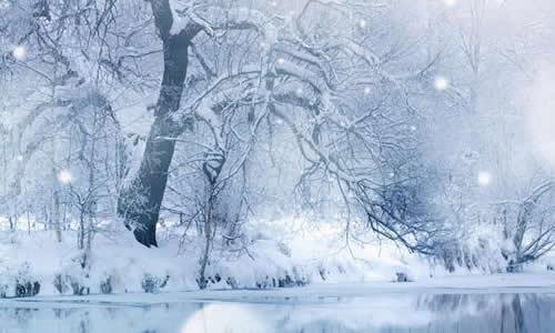 在雪景上的构图：孤独的雪视图_250字