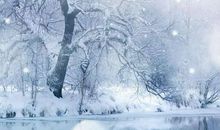 关于雪景的作文：孤山雪景_250字