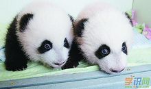 高一说明文：白气是什么_800字