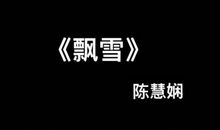 关于雪的作文：又见雪飘过_450字