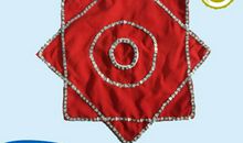 转手绢花小能手_200字