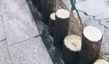 我不喜欢夏天_650字