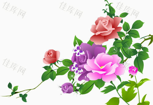 玫瑰_650字