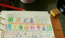 阅读记录卡_750字