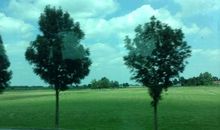 我的暑假生活_750字