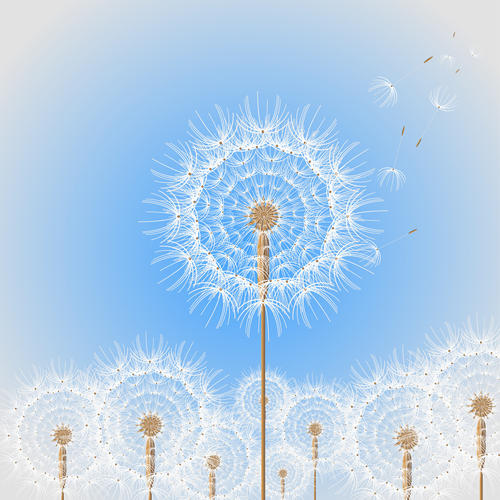 Dandelion_1500 Word.